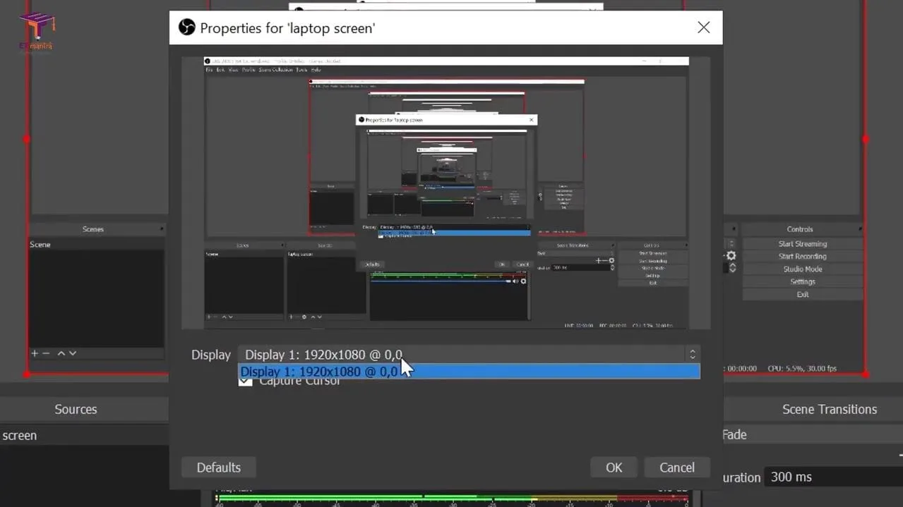 Display Capture Properties